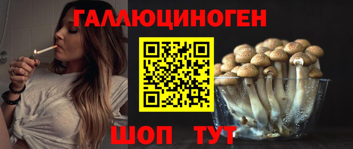 закладки  Галлюциногенные грибы Psilocybine cubensis  Вход с VPN  Кемерово 